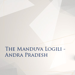 Real Estate Investment Opportunities in Andhra Pradesh