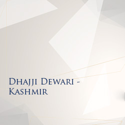 Dhajji Dewari: Earthquake-Resistant Homes in Kashmir