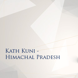 Himachal's Kath Kuni: Wood, stone harmonized tradition