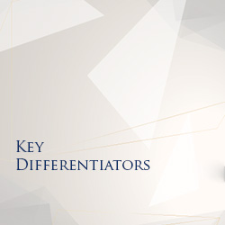 Key Differentiators