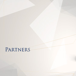 Sowparnika Partners Mobile Banner - Highlighting key real estate partnerships and collaborations