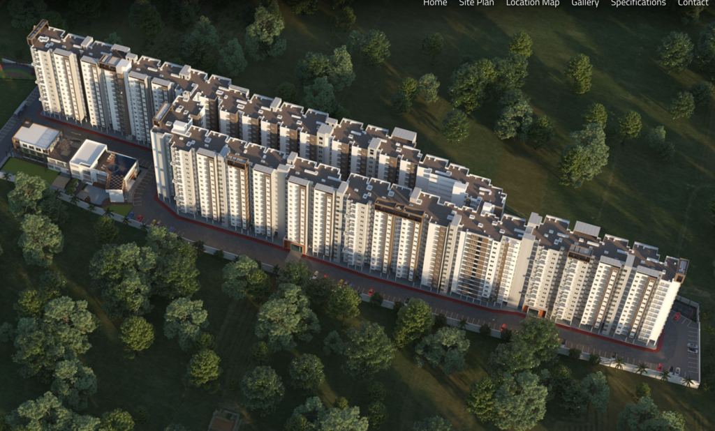 Euphoria in the East