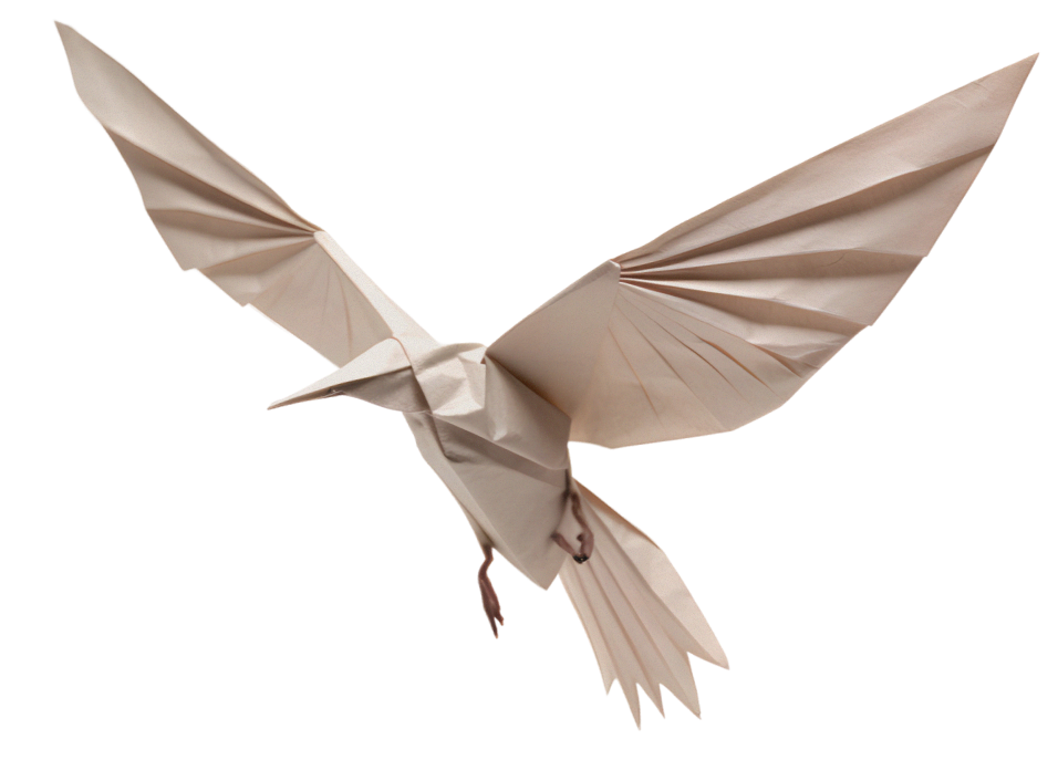 sowparnika home building bird nest concept